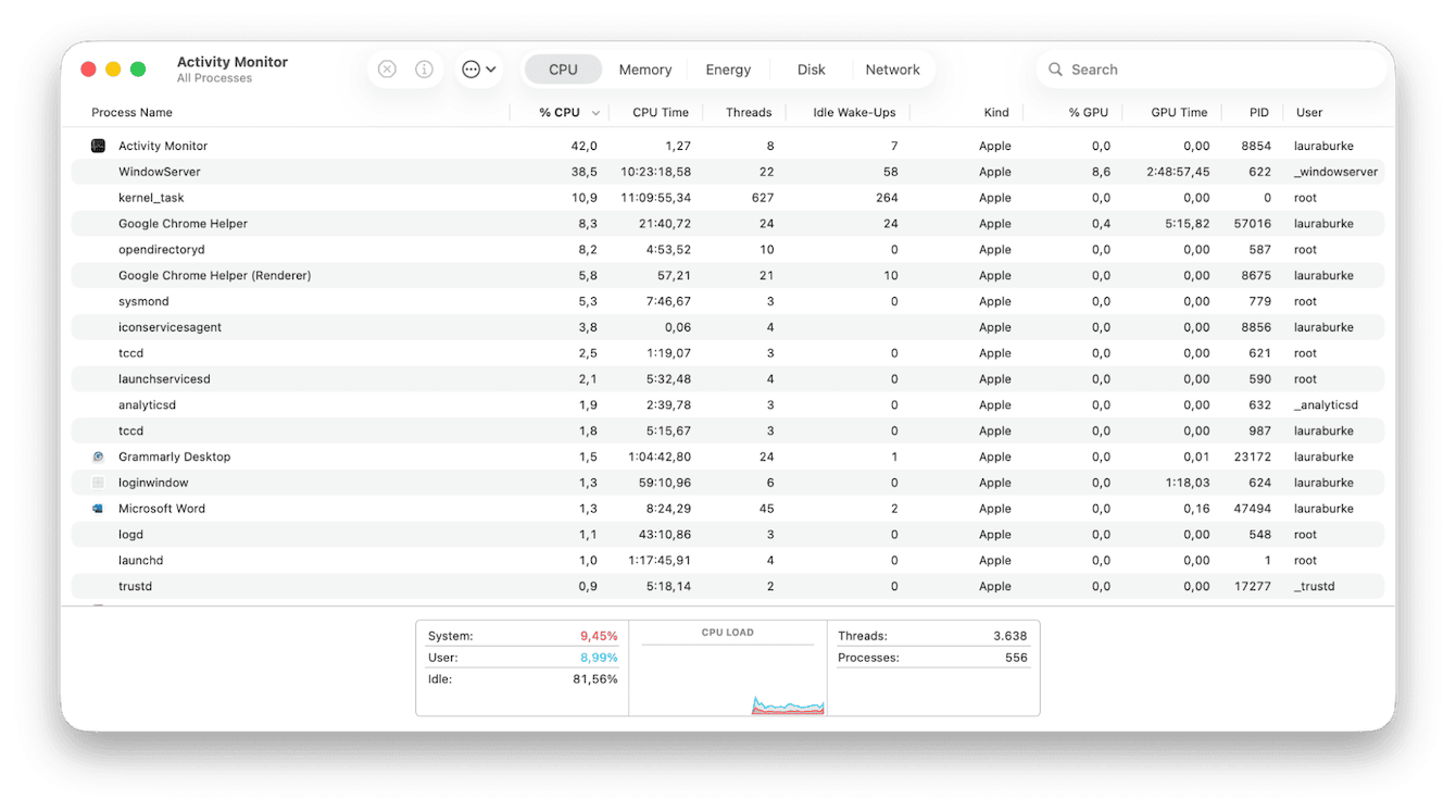 Activity Monitor on Mac