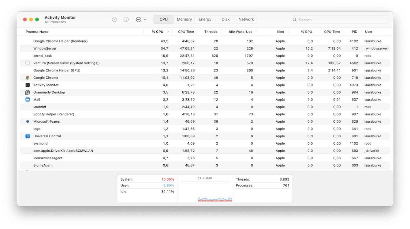 Activity Monitor on Mac