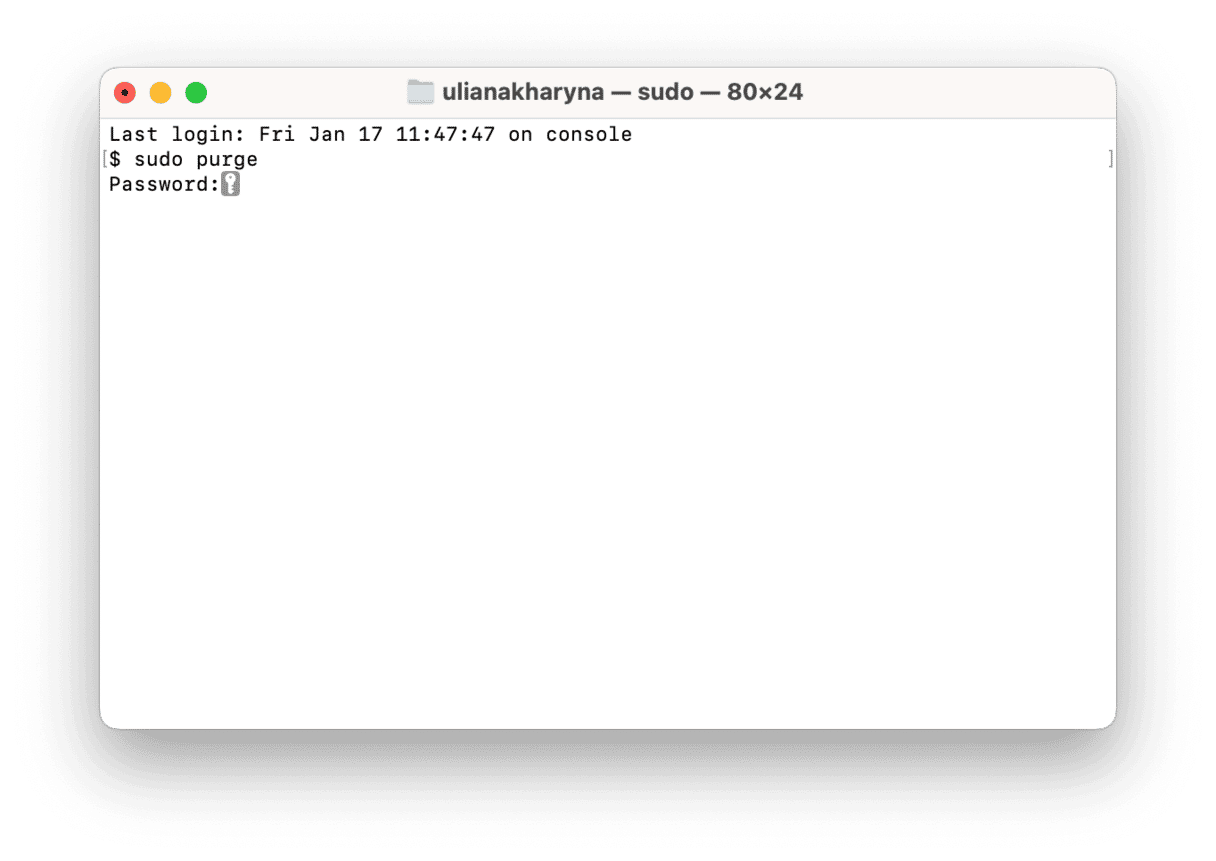 터미널에서 RAM 퍼지하기