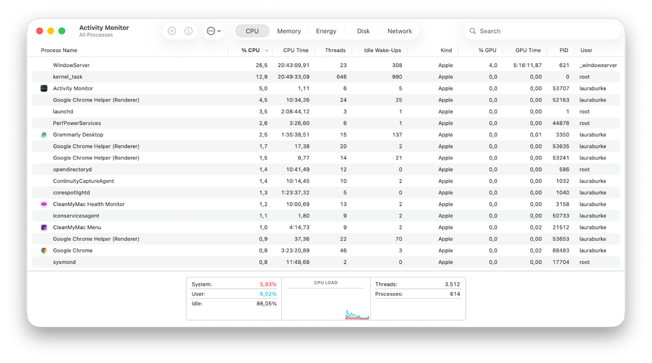 Activity Monitor on Mac