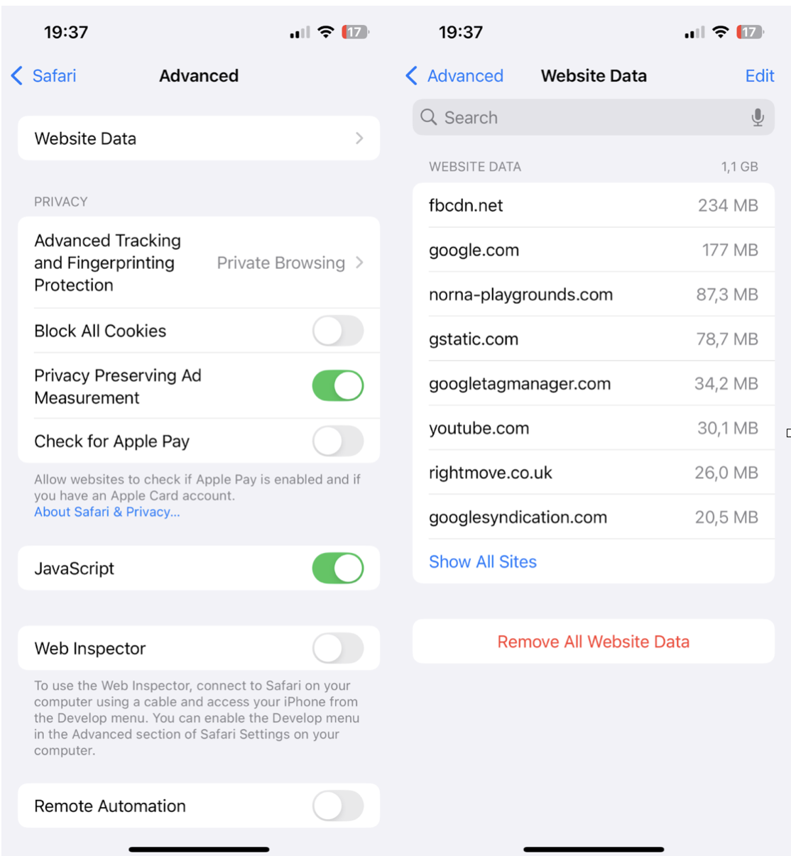 #3 Delete Safari cache and data