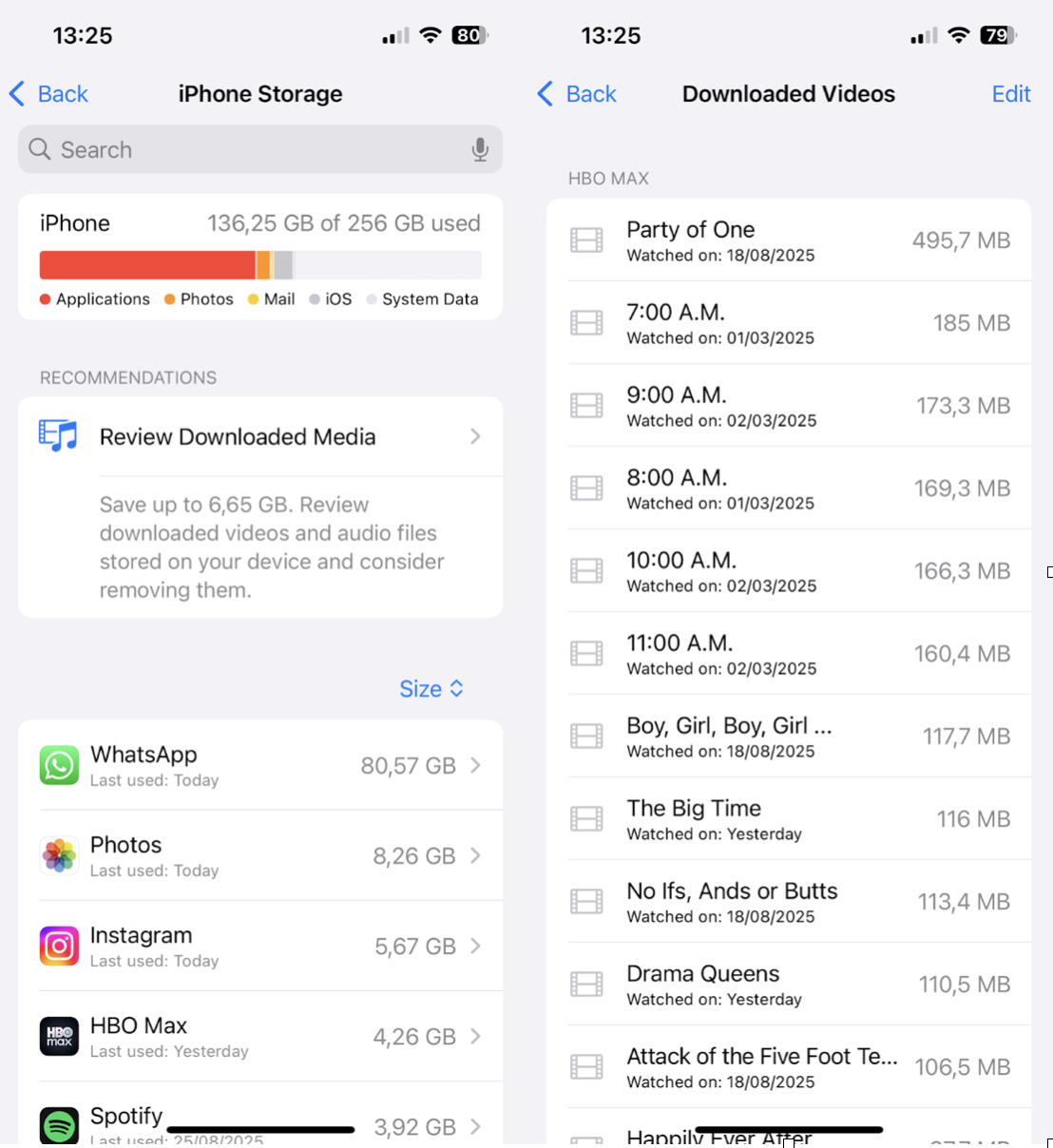 Regular iPhone Cleanup Tips