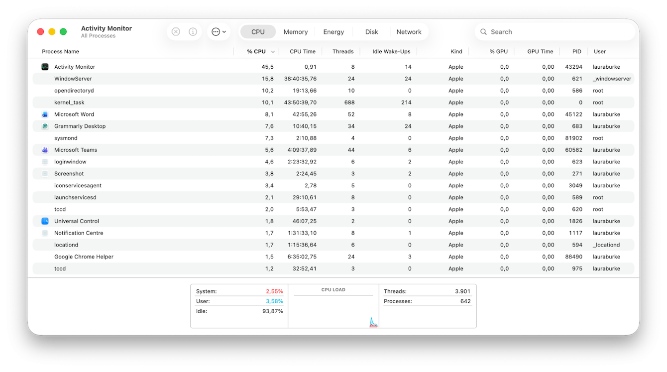 Activity Monitor on Mac